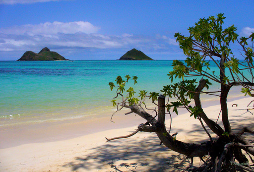 Lanikai Beach in Kailua, Hawaii is the top beach in the U.S., according to the 2014 TripAdvisor Travelers' Choice Awards for Beaches. (A TripAdvisor traveler photo)