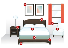 Bed Bugs Hide In More Than Just Your Bed