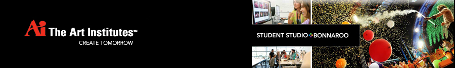 Student Projects at Bonnaroo - The Art Institutes