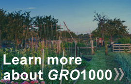 Learn more about GRO 1000