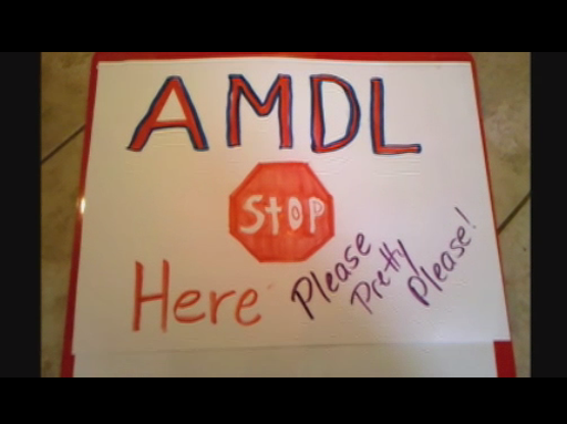 AMDL 2012 Winner