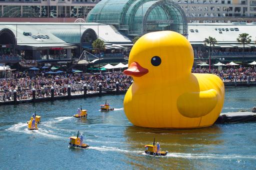 Rubber Duck, Sydney Festival. January 5.