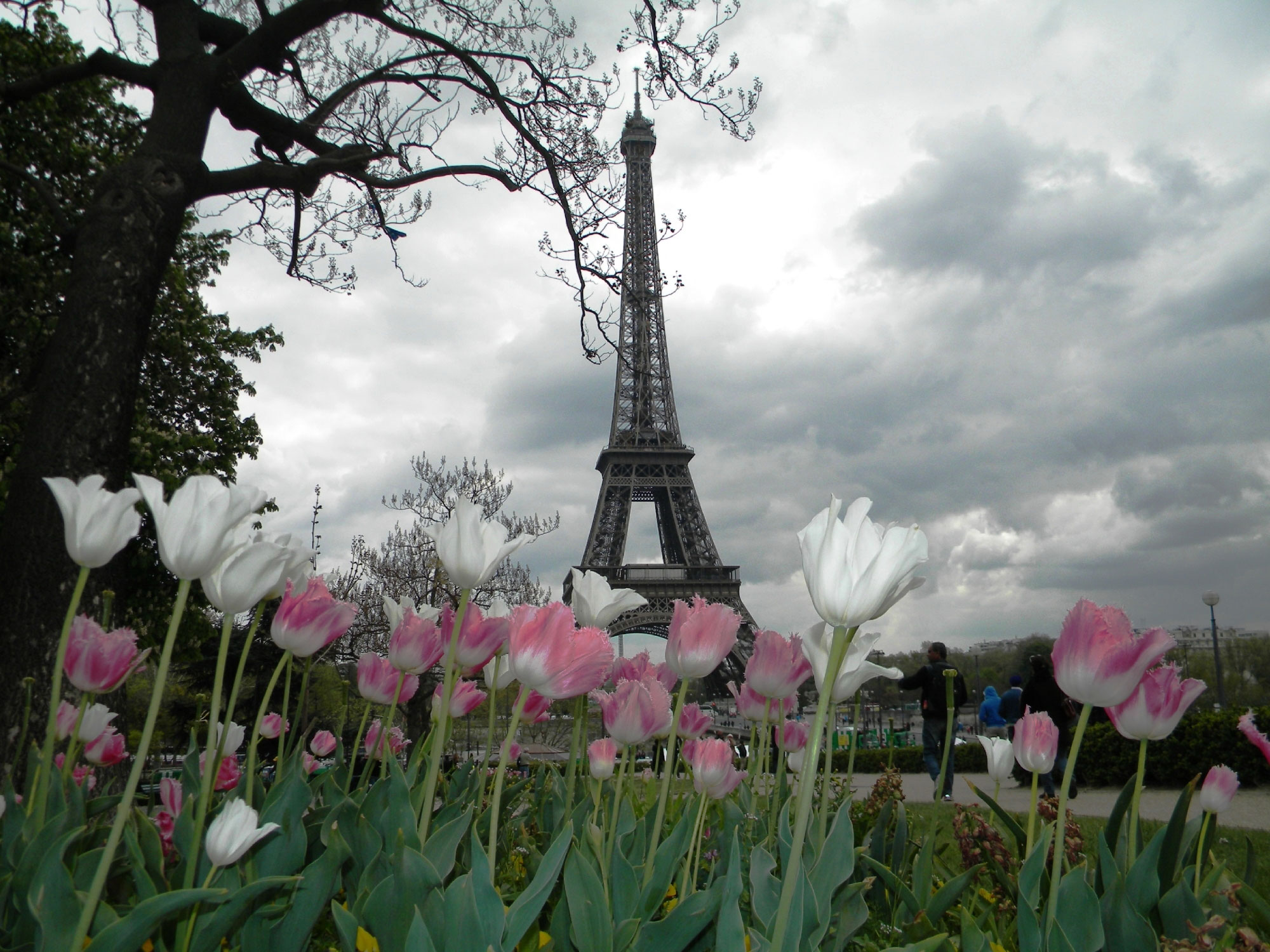 TripAdvisor reveals Paris, France as the second priciest city for an international trip during summer 2014. (A TripAdvisor traveler photo)