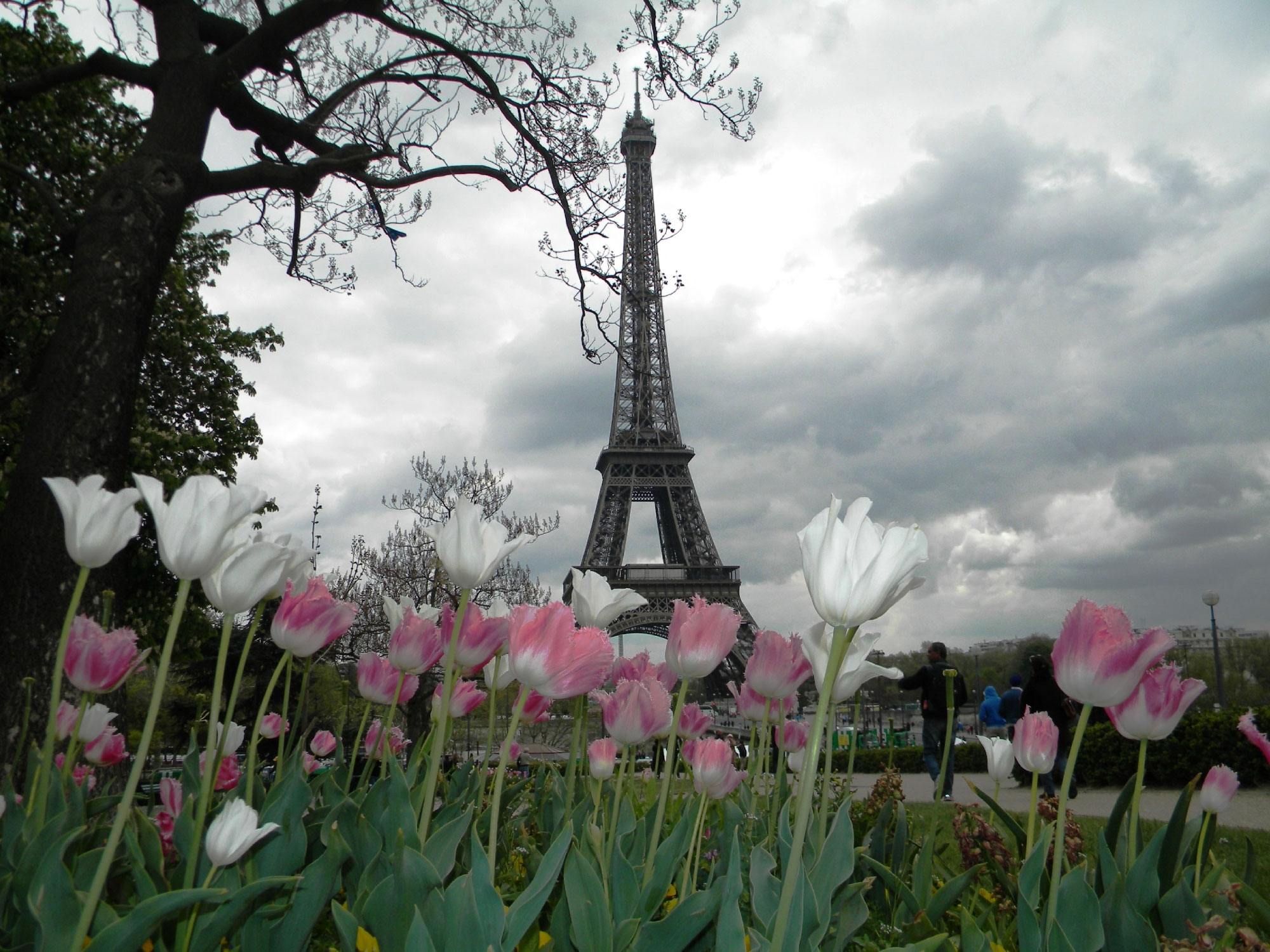TripAdvisor reveals Paris, France as the second priciest city for an international trip during summer 2014. (A TripAdvisor traveler photo) TripAdvisor reveals Paris, France as the second priciest city for an international trip during summer 2014. (A TripAdvisor traveler photo)