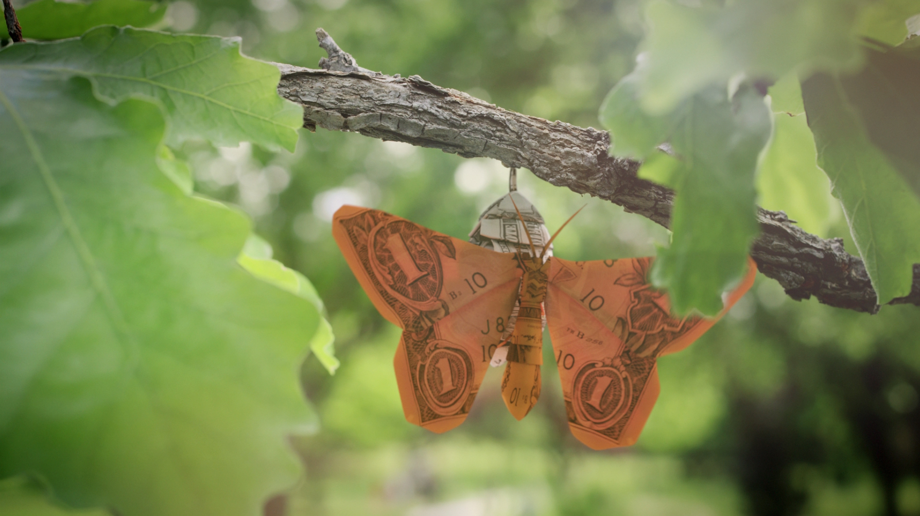 Voya Financial’s new television commercial features the metamorphosis of a dollar bill-patterned caterpillar into an “Orange Money” butterfly.