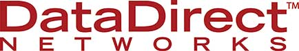 DDN logo