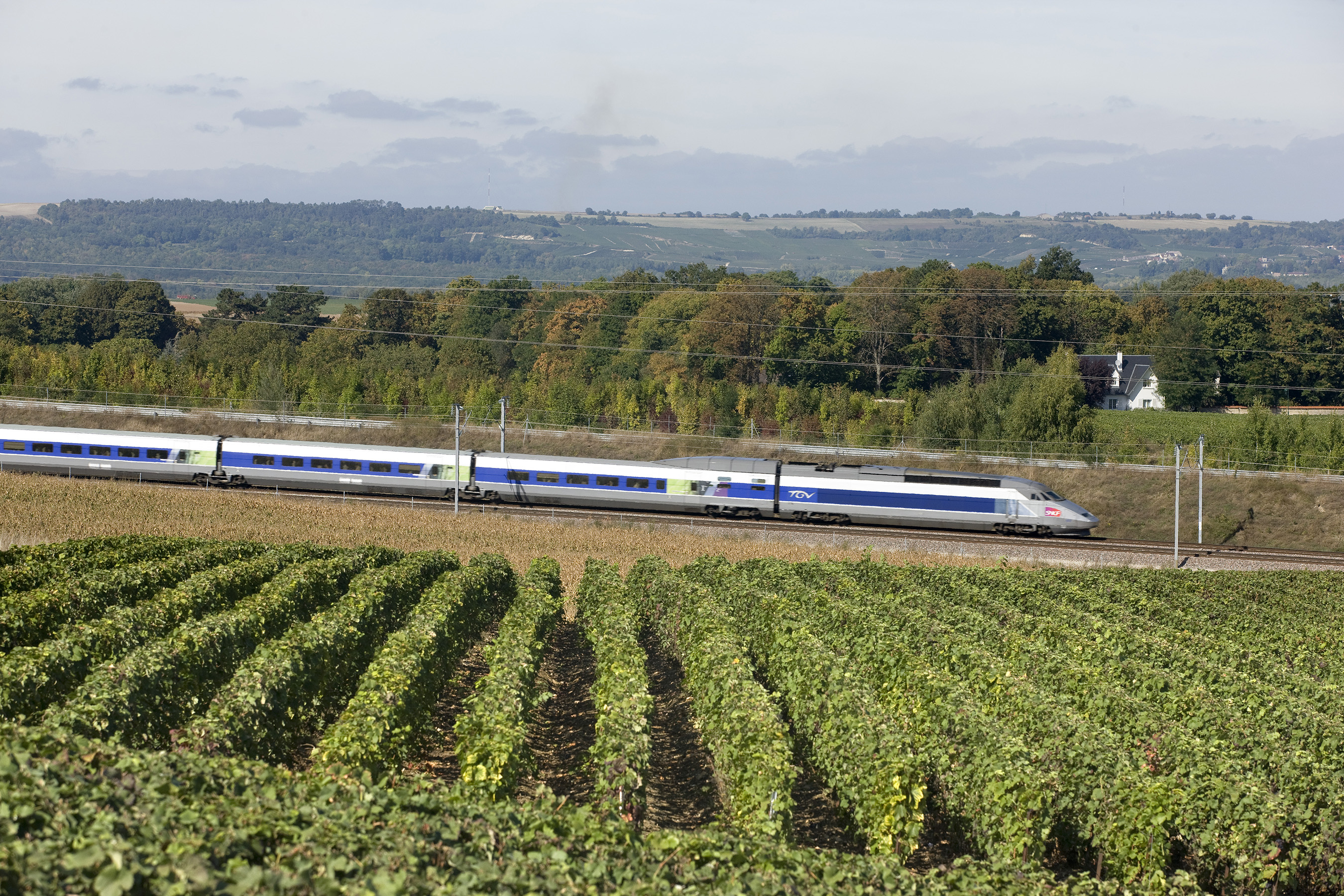 High speed train traveling through French vineyards © SNCF Médiathèque – Christophe Recoura