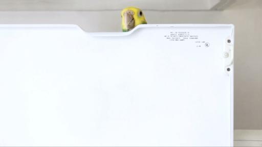 California Institute of the Arts: Behrouz Raei, “Hide and Seek”