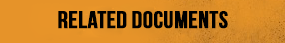 Related Document