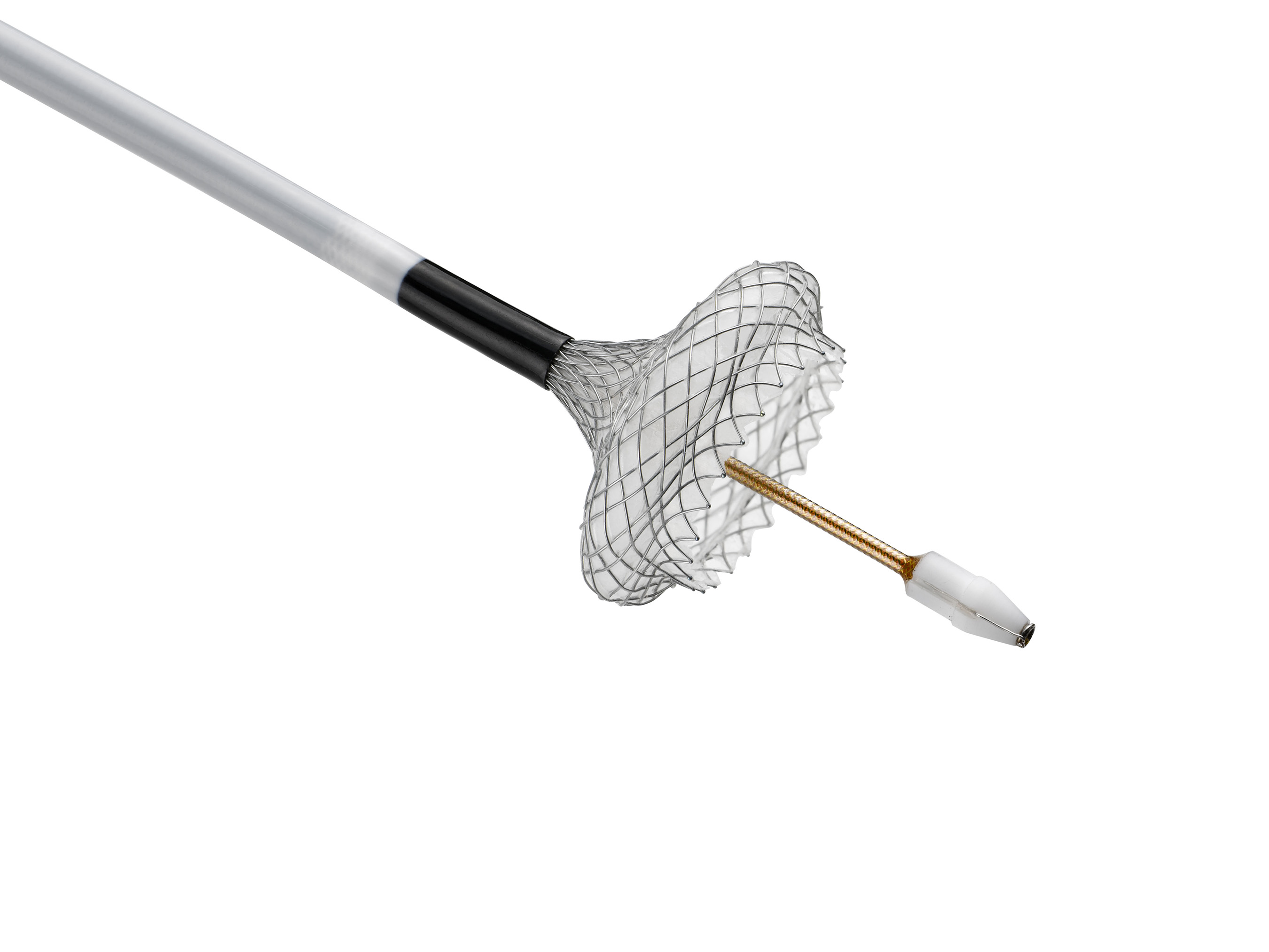 The AXIOS™ System combines a cautery-enabled access catheter with the AXIOS stent