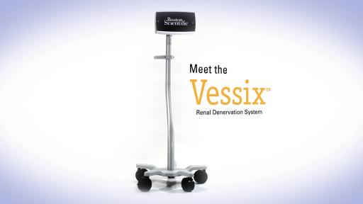 Watch and learn more about the Vessix™ Renal Denervation System