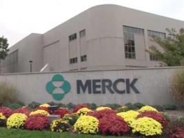 Merck Receives Accelerated Approval Of Keytruda Pembrolizumab