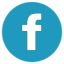 Facebook Icon