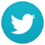 Twitter Icon