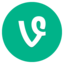 Vine Icon