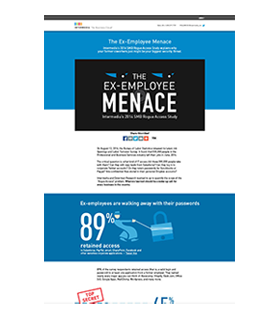 Rouge Access Web Report