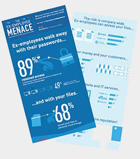 Rouge Access Infographic