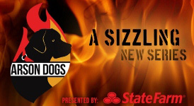 Call To Action Positively Video