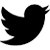 twitter icon