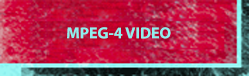 title5