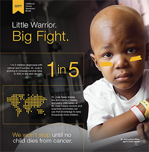 CCAM Infographic Flyer