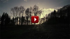 Changing The World 1 Billion Tree at a time