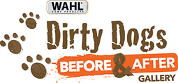 Dirty Dogs Gallery logo