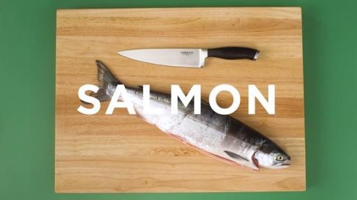Salmon