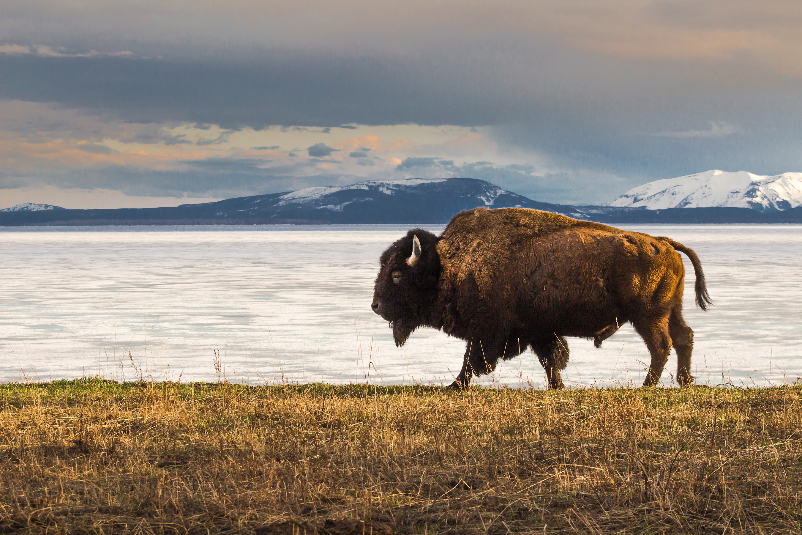 Yellowstone National Park, Jordan Moore, Share the Experience 2014 photo contest