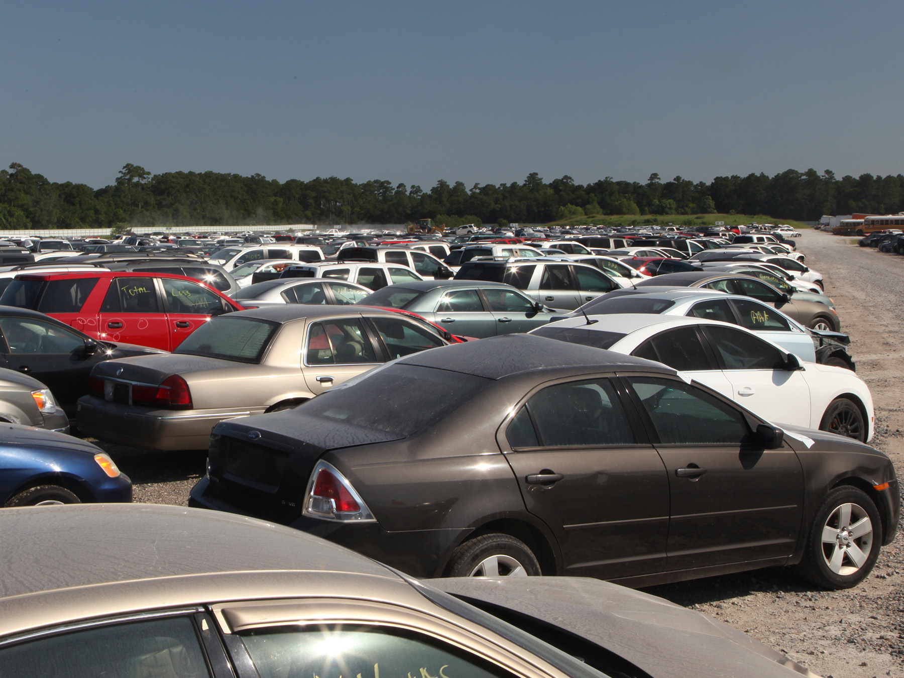 Thousands of cars await their fate