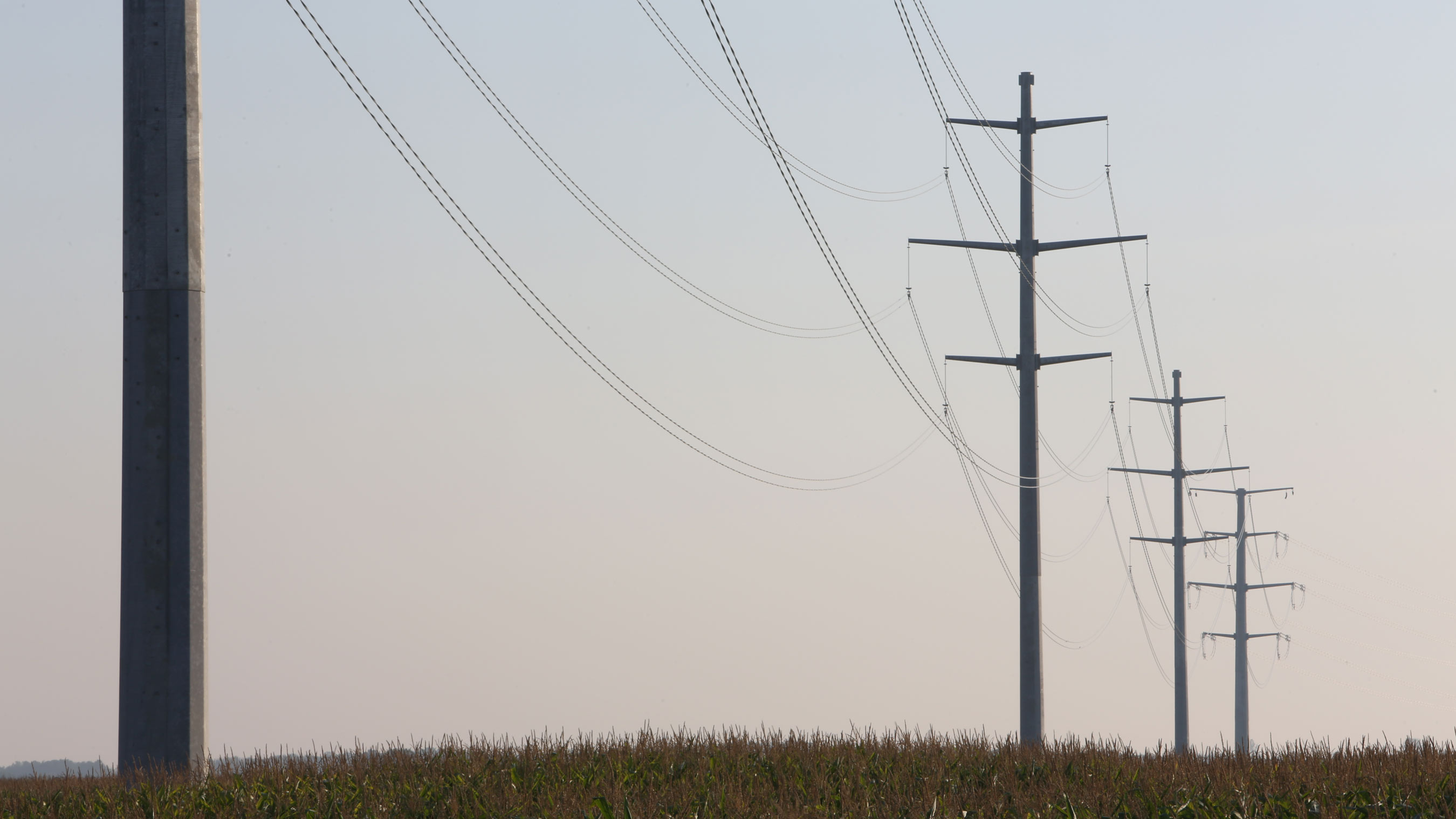 The Thumb Loop transmission project consists of 789 steel monopoles and 32 steel lattice towers and 1,680 miles of wires.