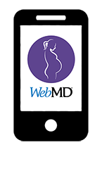 Download the WebMD Pregnancy App