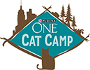 Purina ONE Cat Camp
