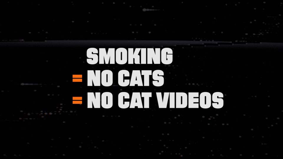 Smoking = No Cats = No Cat Videos