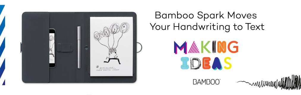 bamboo-spark-supports-