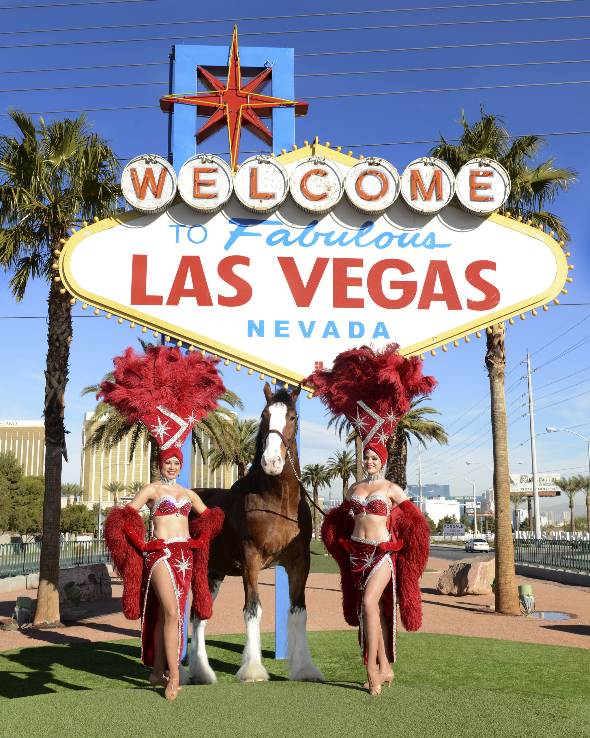 Show girls pose with Clydesdales at the Welcome to Fabulous Las Vegas sign, kicking-off Big Game Weekend.