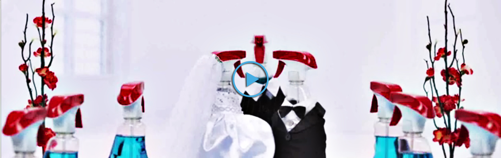 Windex® Brand and My Big Fat Greek Wedding 2