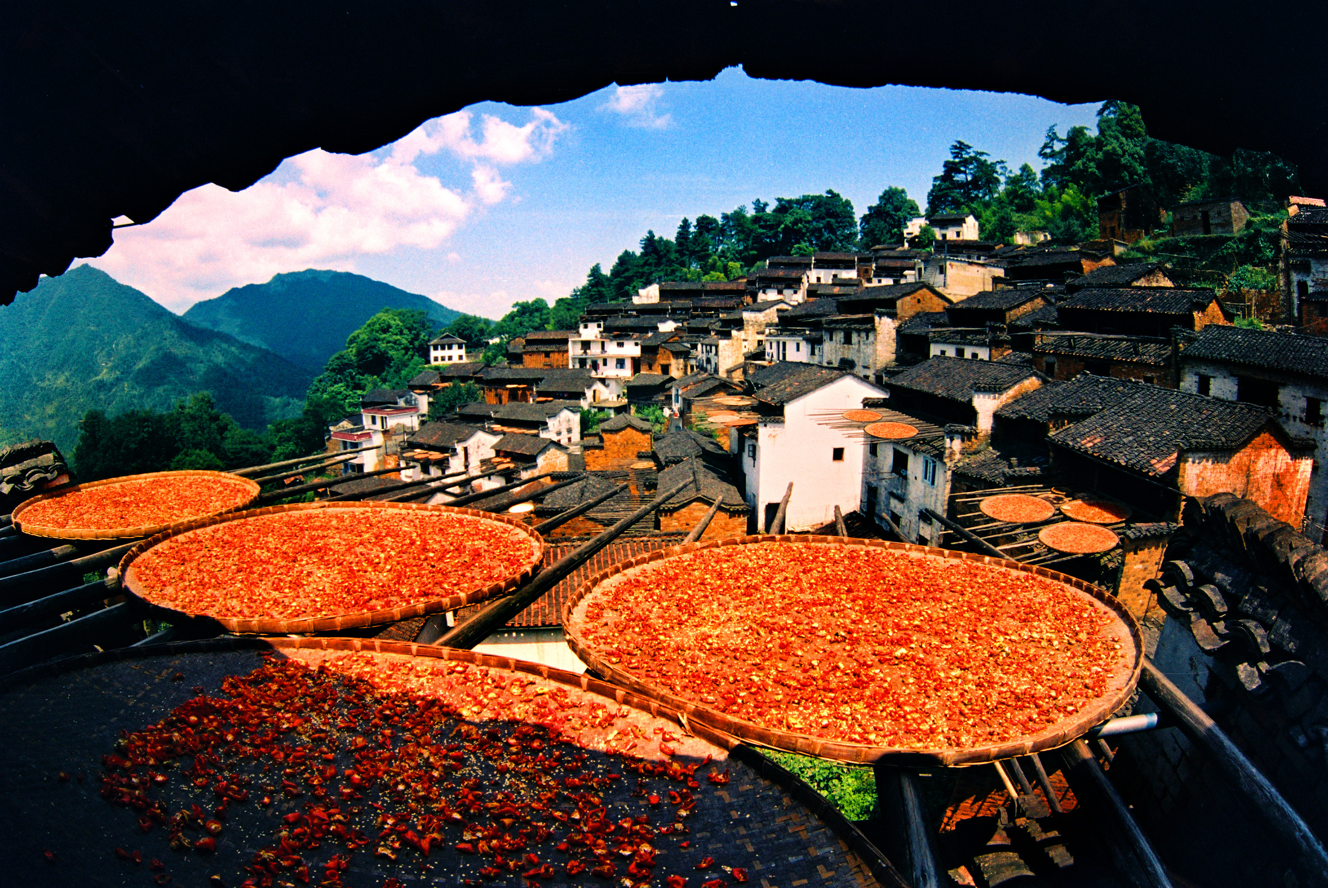 The unique view of shaiqiu can only be found in Huangling village where baskets of colorful harvest bask in the sunshine. (2)