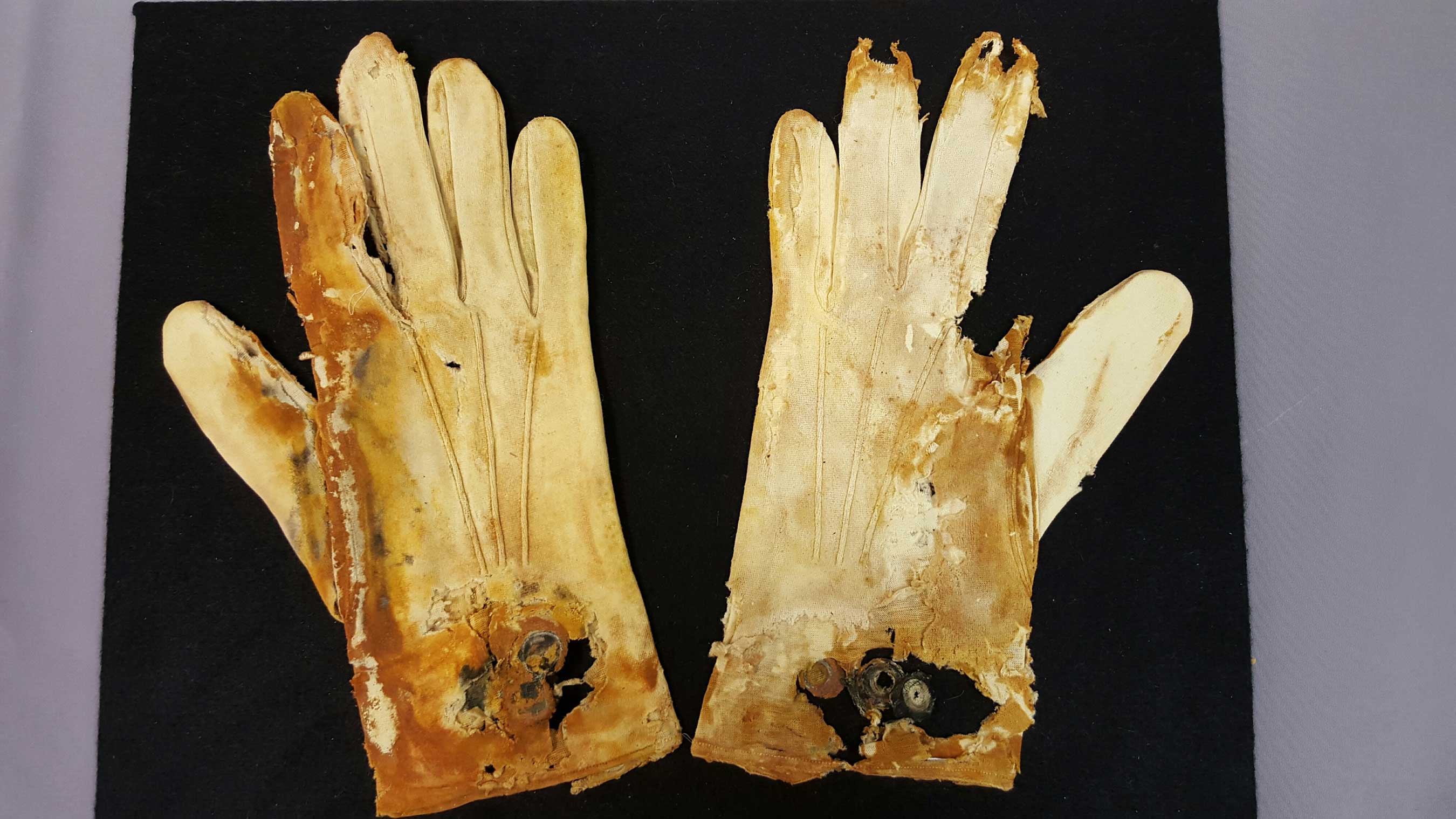 This degraded pair of cotton gloves was originally white and probably belonged to a gentleman. They are still attached at the cuff, so they had not yet been worn. (Credit Premier Exhibitions)