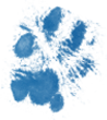 Pawprint Blog