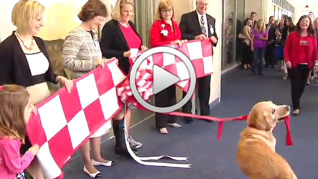 Grand Opening of Purina Family Pet Center
