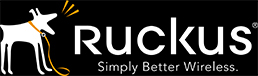 Ruckus Wireless
