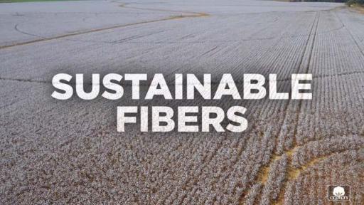 Sustainable Fibers