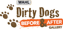  DirtyDogs Gallery logo