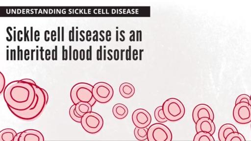 Play social media video.