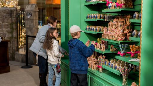 Visitors looking at Chocolate Frogs and Bertie Bott&rsquo;s Every Flavour Beans.