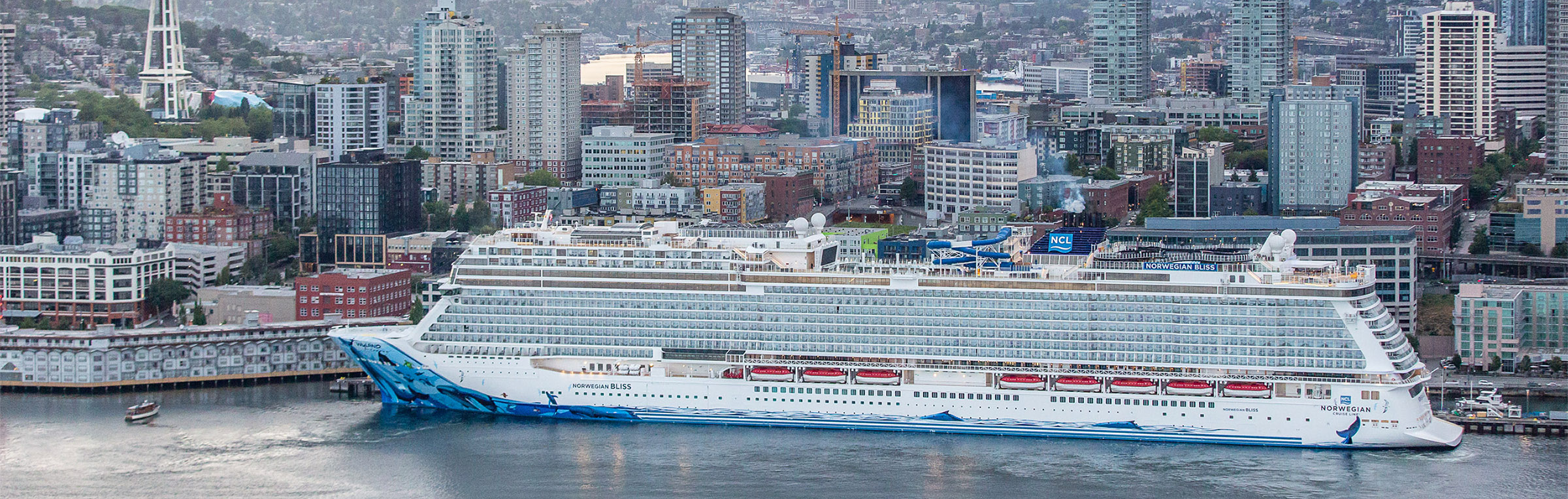 Banner image of a large cruise ship in the water
