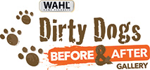 DirtyDogs Gallery logo