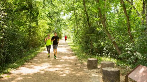 Person running a forested trail