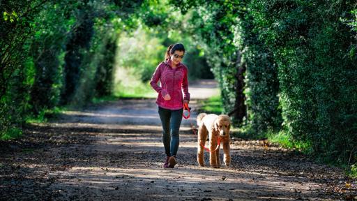 Natural beauty is woven through The Woodlands Hills along with the Cypress Creek Nature Trail.